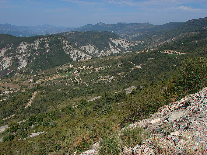 DSC00345