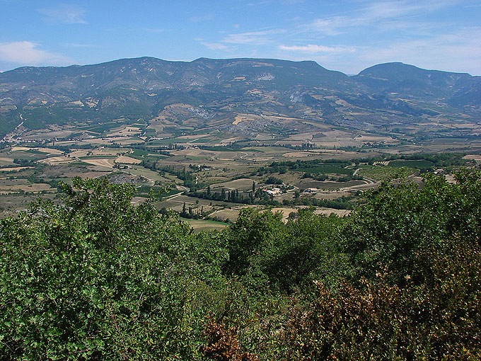 DSC00365
