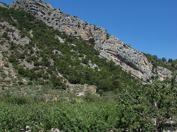 DSC00370