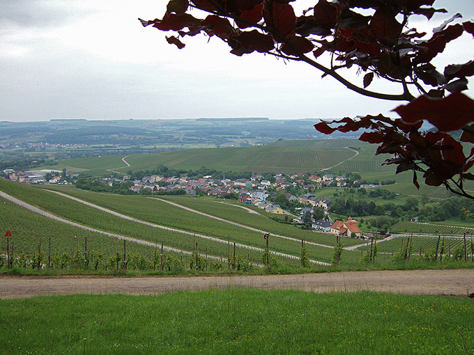 DSCF0707