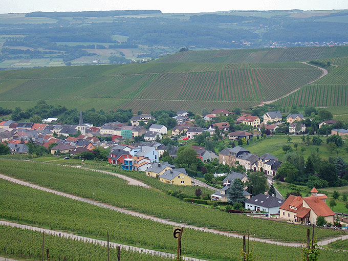 DSCF0708
