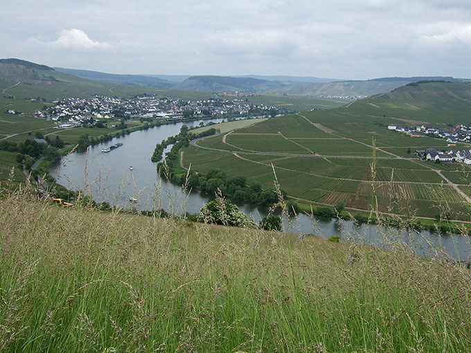 DSCF0761